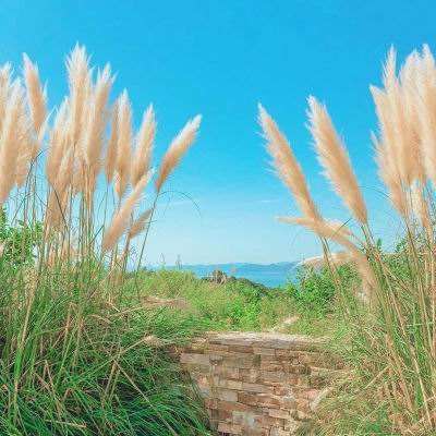 天博tb·体育综合截图