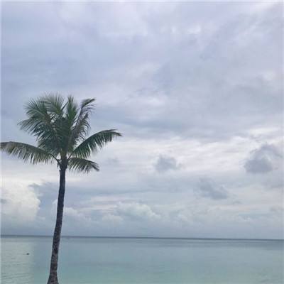 bob体育下载地址截图