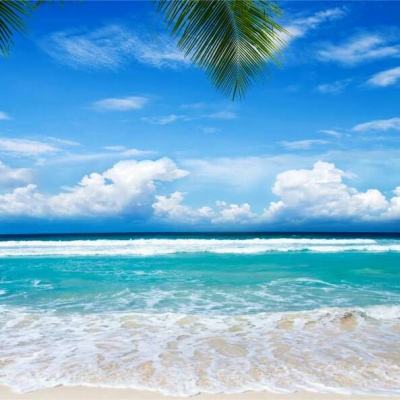 打扑克下载软件